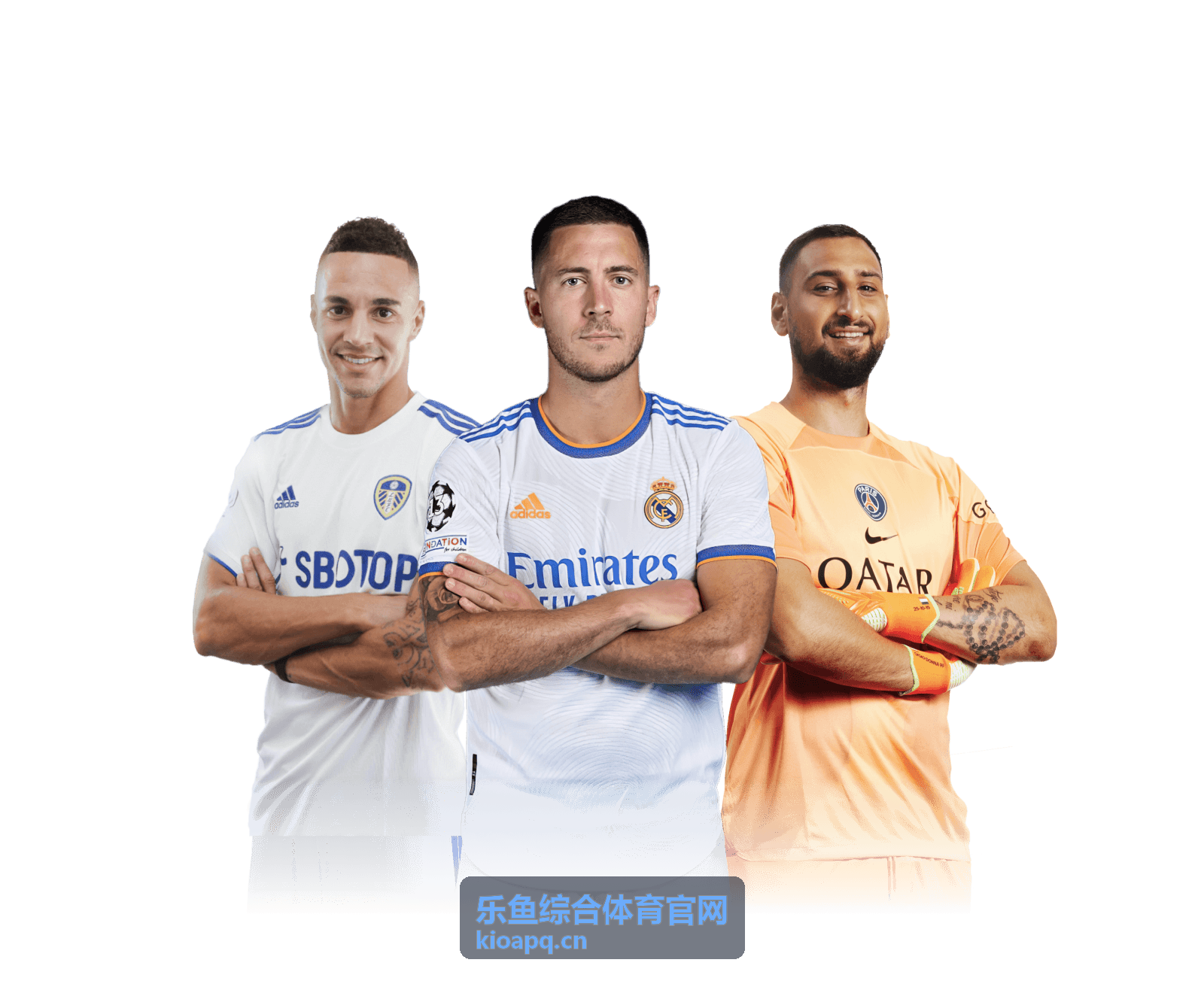 乐鱼综合体育官网赛事顾问