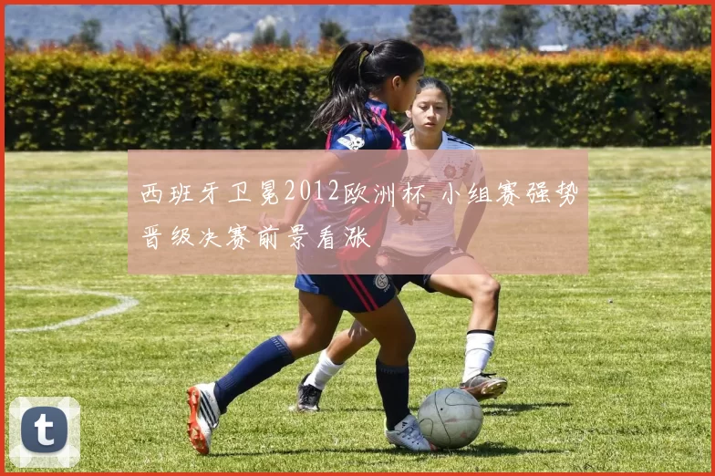 西班牙卫冕2012欧洲杯 小组赛强势晋级决赛前景看涨