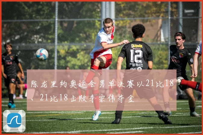 陈龙里约奥运会男单决赛以21比18、21比18击败李宗伟夺金